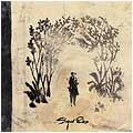 Sigur Ros- Takk